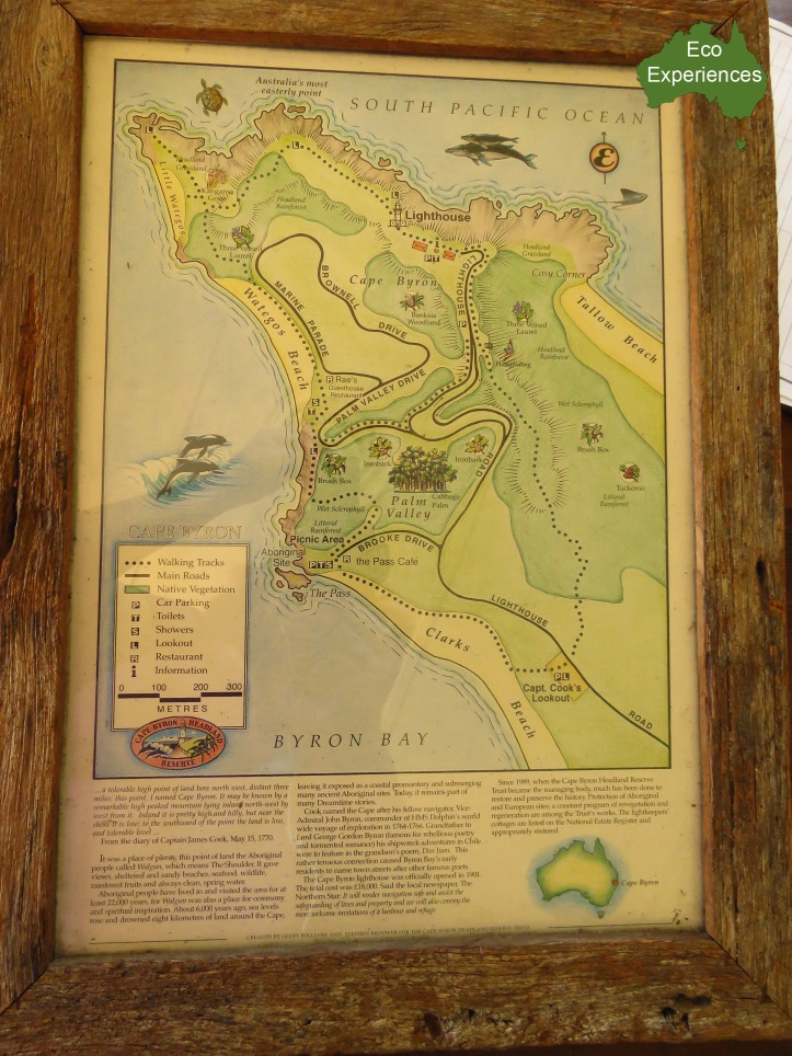 Cape Byron Walking Trail Map