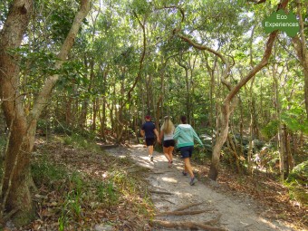 Walk anti closewise on the Cape Byron Track
