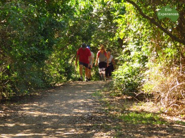 Walking the Cape Byron track
