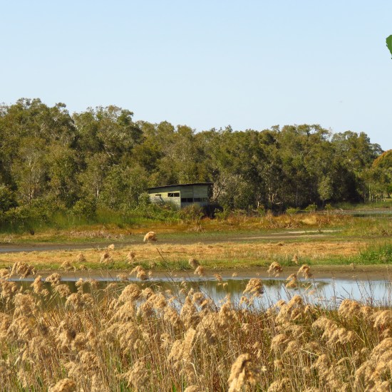 Bird watching hide