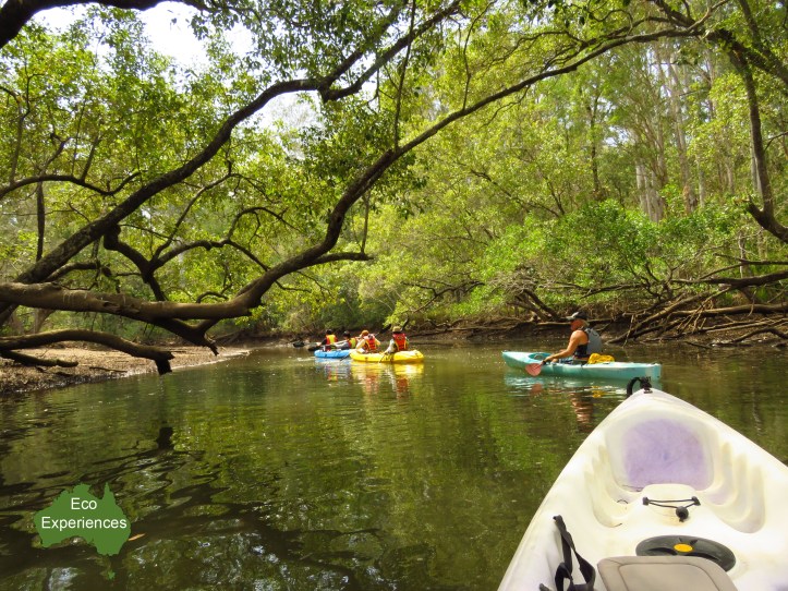 Kayaking in Minjungbul Creek