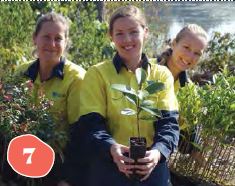 Community Big Scrub Planting