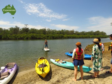 Standup paddle boards