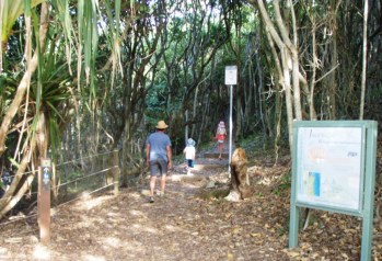 Three Sisters Walking Track - Photo byron4kids.com