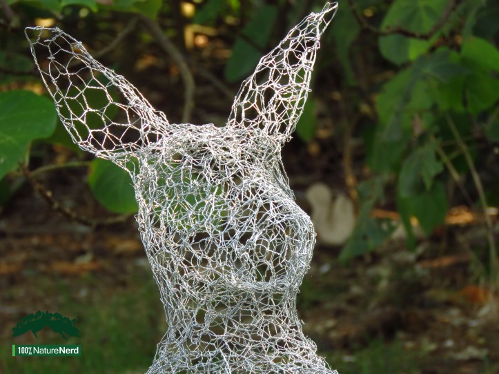 Brunswick Nature Sculpture Walk