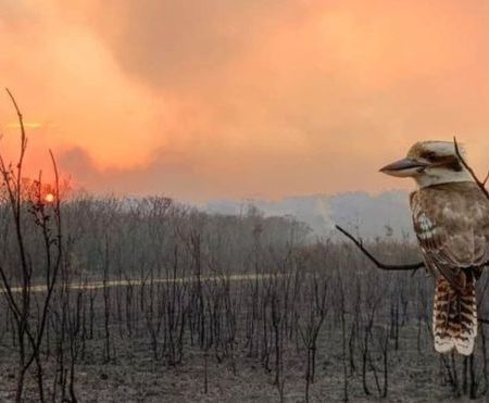 photo by Adam Stevenson